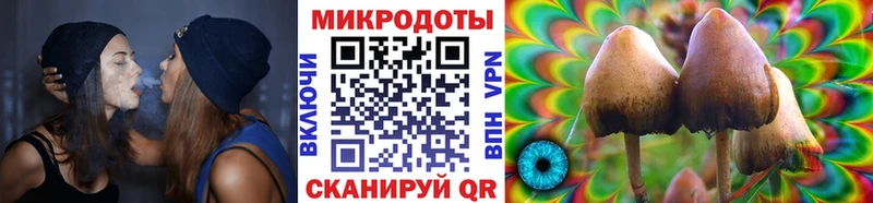 Галлюциногенные грибы Psilocybe дарк нет официальный сайт Новочеркасск